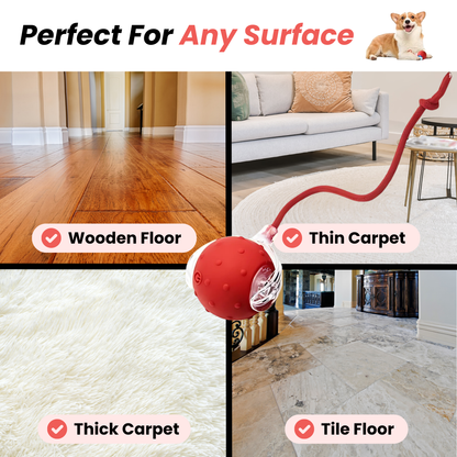 NordPaw™ - Speedy Tail 2.0