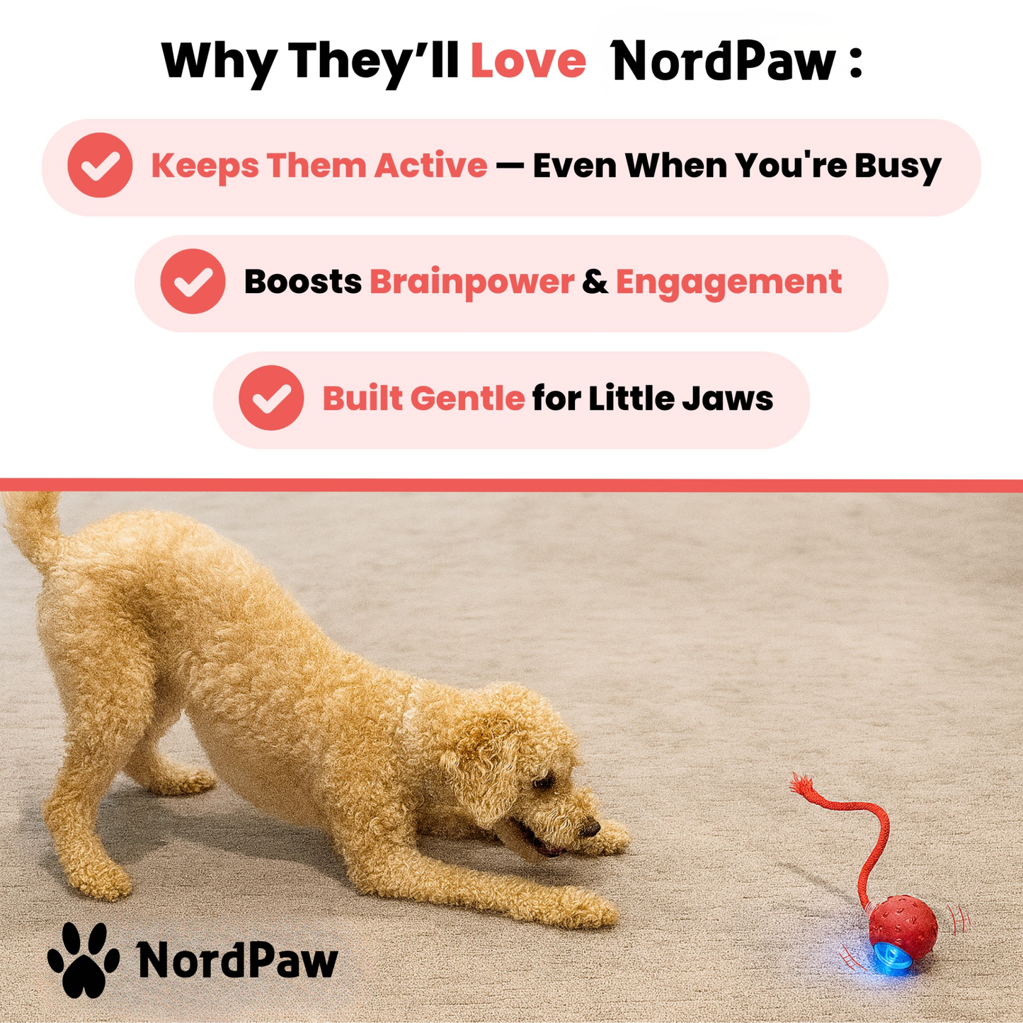 NordPaw™ - Speedy Tail 2.0