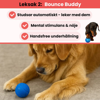 NordPaw™ – Ultimata Stimulans-Bundeln