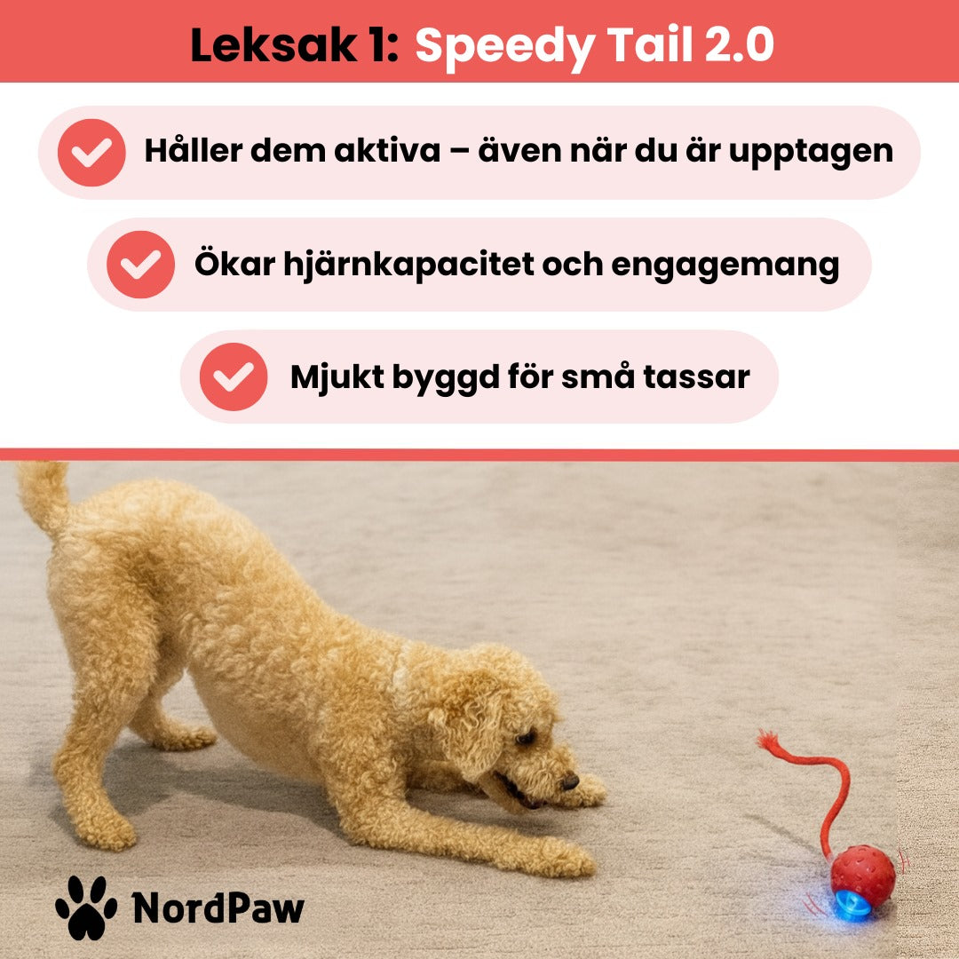 NordPaw™ – Ultimata Stimulans-Bundeln