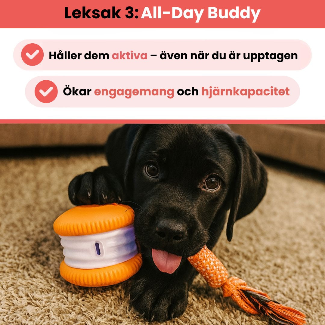 NordPaw™ – Ultimata Stimulans-Bundeln